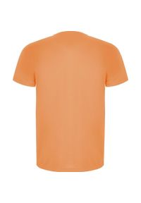 ROLY - Dziecięca/niemowlęca Koszulka Sportowa Imola Z Krótkim Rękawem. Kolor: pomarańczowy. Długość rękawa: krótki rękaw. Długość: krótkie