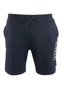 ZFOAM - Glemo Sigfrid Męskie Szorty Bawełniane — Elastyczny Pas, Sznurek. Kolor: niebieski. Materiał: bawełna. Sport: fitness #1