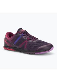 XERO SHOES - Buty barefoot damskie Xero Shoes HFS II. Kolor: fioletowy
