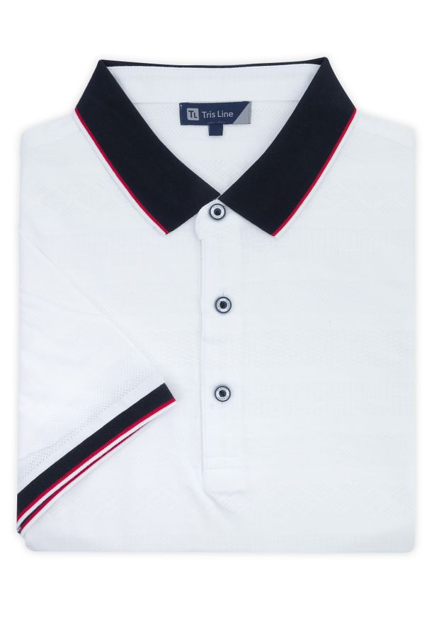 Lanieri Fashion - Męska biała koszulka polo - przewiewna KP20. Typ kołnierza: polo. Kolor: biały. Materiał: bawełna, poliester, materiał. Długość: krótkie