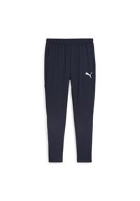 Spodnie męskie Puma Team Goal Slim Training. Kolor: niebieski. Sport: piłka nożna, fitness #1