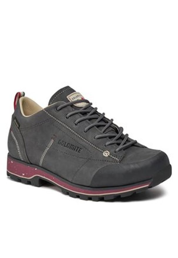 Dolomite Trekkingi W'S 54 Low Fg Evo Gtx GORE-TEX 292534 Szary. Kolor: szary. Materiał: skóra, nubuk