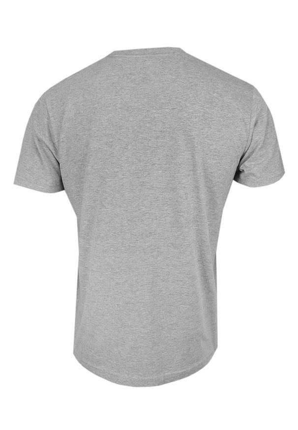 Szary t-shirt Stedman casualowy, na co dzień, z krótkim rękawem, krótki