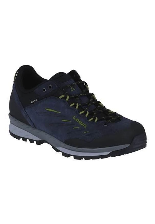 Buty trekkingowe męskie Lowa Delago Low Gtx. Kolor: wielokolorowy. Materiał: skóra. Szerokość cholewki: normalna