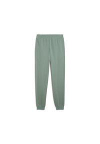 Puma Spodnie Ess 2 Color No.1 Logo Tr Cl 68471430. Kolor: zielony