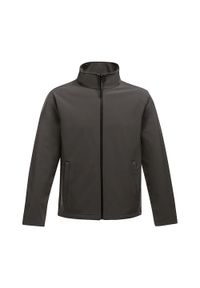 Regatta - Kurtka Damska Ablaze Printable Soft Shell. Kolor: czarny, szary, wielokolorowy