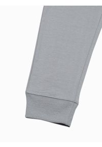 Ombre Clothing - Spodnie męskie dresowe joggery P952 - szare - XXL. Kolor: szary. Materiał: dresówka #5