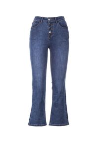 Born2be - Niebieskie Jeansy Raerea. Stan: podwyższony. Kolor: niebieski. Materiał: jeans. Długość: długie. Wzór: gładki