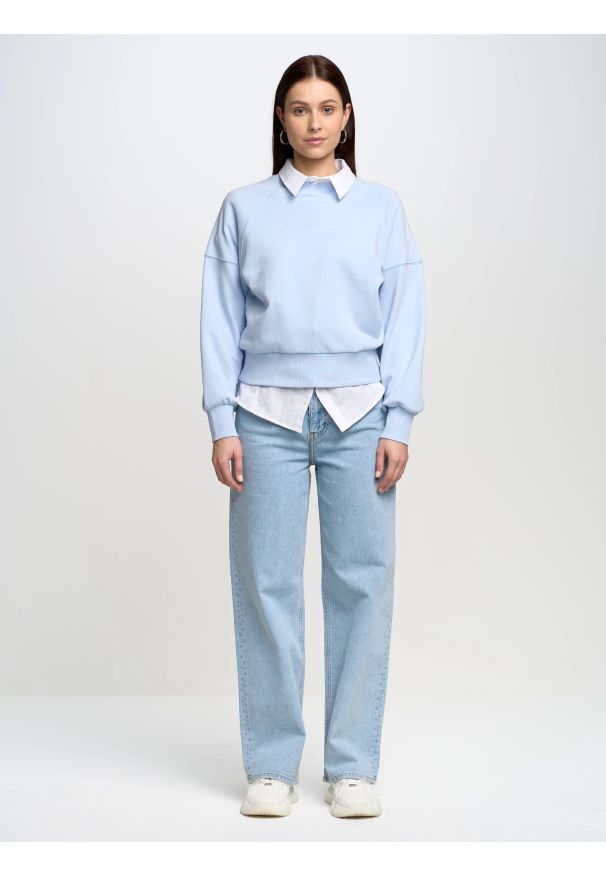 Big-Star - Bluza damska z nadrukiem 3d niebieska Jean 400. Okazja: na co dzień. Kolor: niebieski. Materiał: bawełna. Wzór: nadruk. Styl: sportowy, casual, elegancki