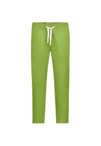 VAN NICHOLAS - James & Nicholson Męskie Spodnie Dresowe Vintage, Fluo Zielony, S. Kolor: niebieski, wielokolorowy, zielony. Materiał: dresówka. Styl: vintage #1