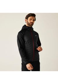 Regatta - Kurtka męska hybrydowa Andreson. Kolor: czarny. Materiał: puch. Sport: turystyka piesza #1
