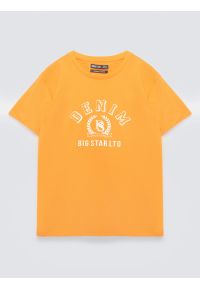 Big-Star - Koszulka męska z nadrukiem pomaraŅczowa Bester 703. Okazja: na co dzień. Kolor: pomarańczowy. Materiał: bawełna, jeans. Wzór: nadruk. Styl: klasyczny, casual, wakacyjny #3