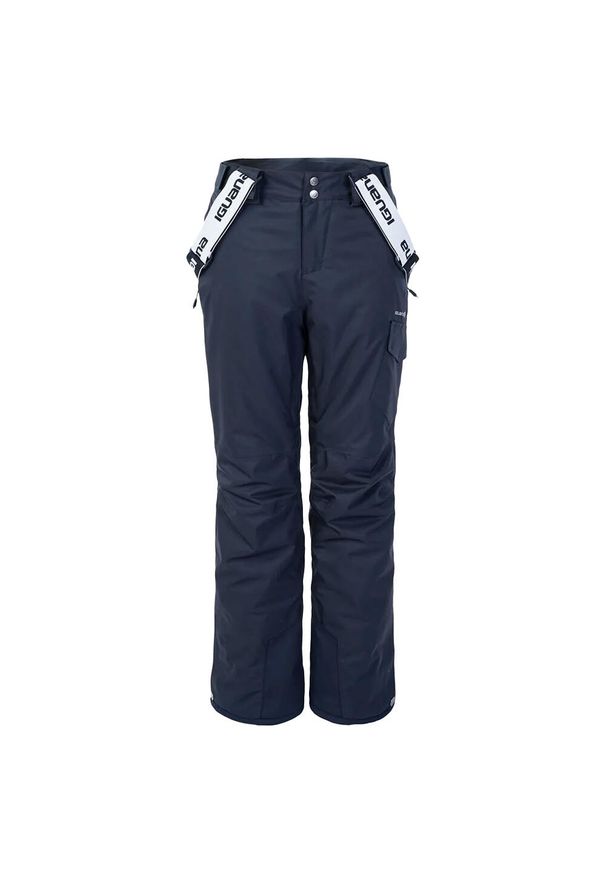 Iguana - Damskie Spodnie Narciarskie Nala. Kolor: biały, niebieski, wielokolorowy, zielony. Sezon: zima. Sport: narciarstwo