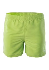 AquaWave - Męskie Spodenki Kąpielowe Apeli. Kolor: zielony. Styl: sportowy #1