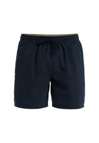 Quiksilver - Szorty kąpielowe dla Mężczyzn SPL FINELINE 15" Czarny. Kolor: czarny. Materiał: poliester, materiał. Styl: sportowy #1