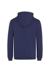 Fila Beltinci Hoody, męska bluza. Typ kołnierza: kaptur. Kolor: wielokolorowy, niebieski. Materiał: bawełna, poliester