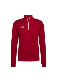 Bluza piłkarska męska Adidas Entrada 22 Training Top. Kolor: biały, czerwony, wielokolorowy. Sport: piłka nożna