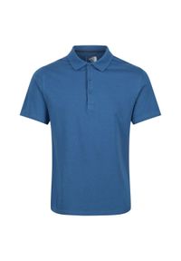 Regatta - Męska Koszulka Polo Sinton. Typ kołnierza: polo. Kolor: niebieski #1