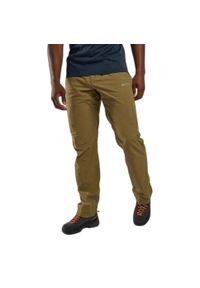Spodnie trekkingowe męskie Montane Terra Lite Pants. Kolor: zielony. Sport: turystyka piesza