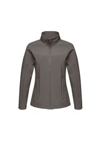 Regatta - Damski Softshell Uproar. Kolor: szary. Materiał: softshell