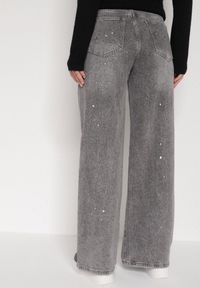 Born2be - Szare Szerokie Jeansy z Wysokim Stanem Zdobione Błyszczącymi Drobinami Isabela. Okazja: na co dzień. Stan: podwyższony. Kolor: szary. Wzór: aplikacja. Styl: klasyczny, casual, elegancki #8