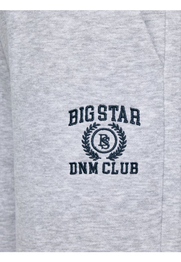Big-Star - Spodnie damskie dresowe wide szare Madelinap 901. Kolor: szary. Materiał: dresówka. Wzór: haft, aplikacja