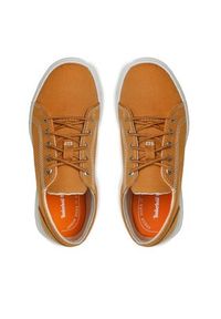 Timberland Sneakersy Seneca Bay TB0A5TDV7631 Brązowy. Kolor: brązowy #5