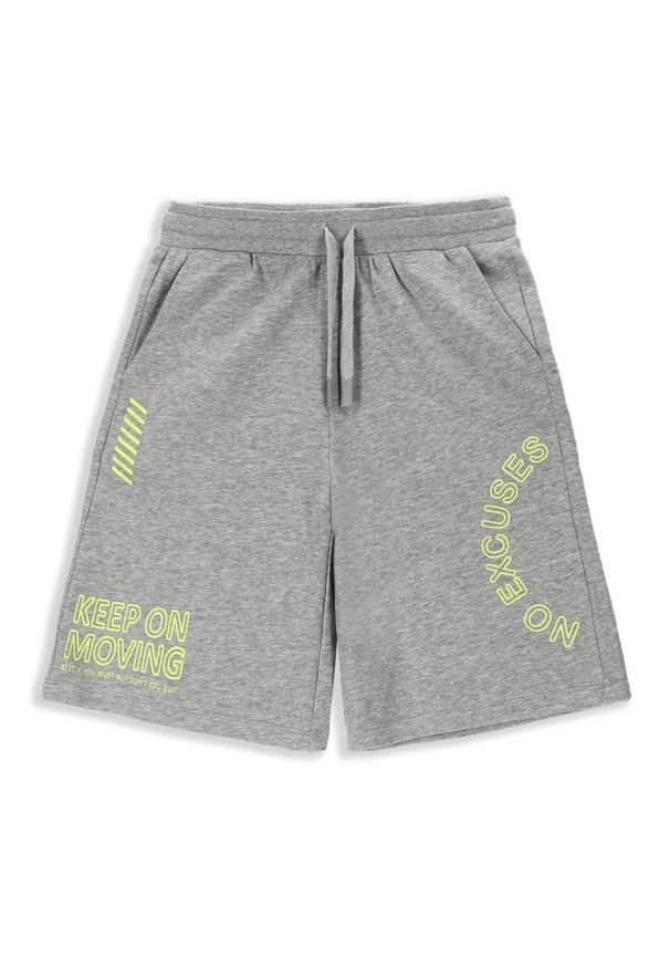 Spodenki sportowe dla dzieci Lemon Explore WL4 do kolan. Kolor: szary. Materiał: bawełna, wiskoza. Długość: do kolan. Styl: sportowy
