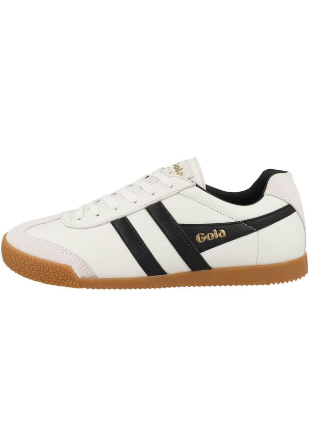 Buty do chodzenia męskie Gola Harrier. Kolor: czarny, biały, wielokolorowy. Materiał: materiał, skóra. Szerokość cholewki: normalna. Sport: turystyka piesza