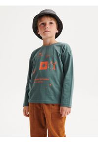 Reserved - Longsleeve z nadrukiem - morski. Kolor: morski, turkusowy. Materiał: dzianina, bawełna. Długość rękawa: długi rękaw. Wzór: nadruk #1