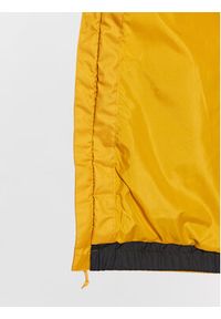 The North Face Wiatrówka Farside NF0A493E Żółty Regular Fit. Kolor: żółty. Materiał: syntetyk