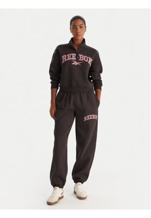 Reebok Spodnie dresowe Marvs RK25165CCW Brązowy Regular Fit. Kolor: brązowy. Materiał: syntetyk