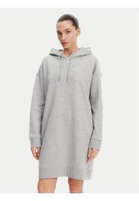 DKNY Sport Sukienka dzianinowa DP5D4884 Szary Relaxed Fit. Kolor: szary. Materiał: bawełna. Typ sukienki: sportowe. Styl: sportowy