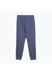 PITBULL - Spodnie męskie Pitbull Sampson Track Pants. Kolor: niebieski