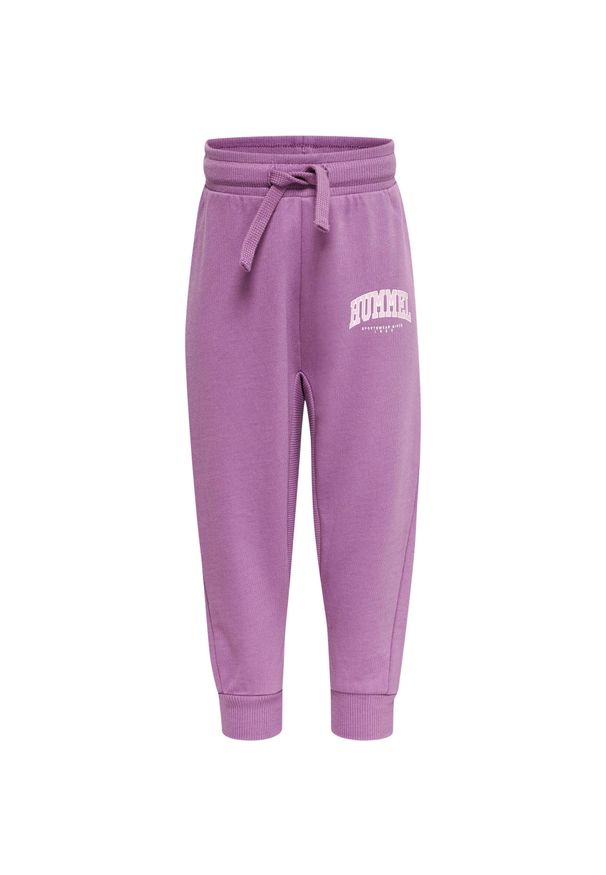 Spodnie dresowe dla dzieci Hummel Fast Apple. Kolor: fioletowy. Materiał: dresówka. Sport: joga i pilates, bieganie
