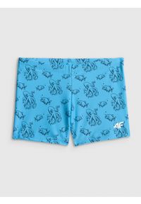 4f - 4F Kąpielówki chłopięce - niebieskie 158/164 (12-14 lat). Kolor: niebieski. Materiał: materiał #1