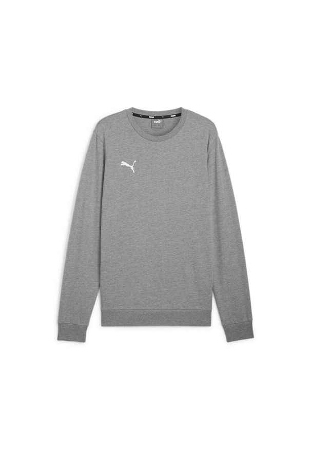 Bluza Puma teamGoal Casuals. Kolor: szary. Sport: piłka nożna
