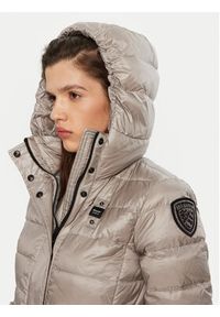 Blauer Płaszcz zimowy 24WBLDK03040 Srebrny Regular Fit. Kolor: srebrny. Materiał: syntetyk. Sezon: zima