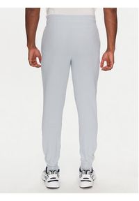 Puma Spodnie dresowe Ess 684714 Błękitny Regular Fit. Kolor: niebieski. Materiał: bawełna