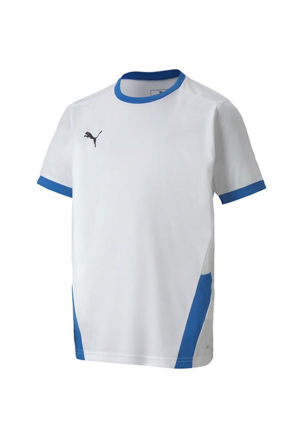 Koszulka dla dzieci Puma teamGOAL 23 Jersey. Kolor: biały, wielokolorowy, niebieski. Materiał: jersey