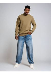 Sinsay - Bluza crewneck z napisem - khaki. Kolor: brązowy. Wzór: napisy