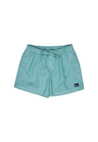 Quiksilver - Szorty kąpielowe dla Mężczyzn EVERYDAY SURFWASH VOLLEY 15" Niebieski. Kolor: niebieski. Materiał: poliester, materiał. Styl: sportowy