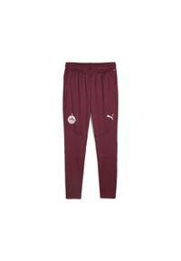 Puma - Męskie spodnie treningowe FC Red Bull Salzburg PUMA Team Regal Red White. Kolor: biały, czerwony, wielokolorowy