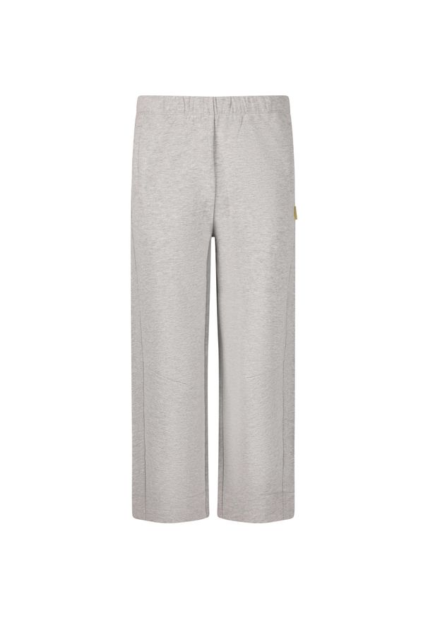 Damskie spodnie dresowe SOS Ramiu. Kolor: szary. Materiał: dresówka. Sport: fitness