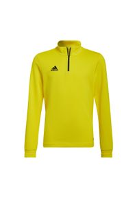 Adidas - Bluza piłkarska dla dzieci adidas Entrada 22 Training Top. Kolor: żółty. Materiał: materiał. Sport: piłka nożna