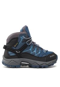 Salewa Trekkingi Jr Alp Trainer Mid Gtx GORE-TEX 64010-0365 Niebieski. Kolor: niebieski. Materiał: skóra. Technologia: Gore-Tex. Sport: turystyka piesza