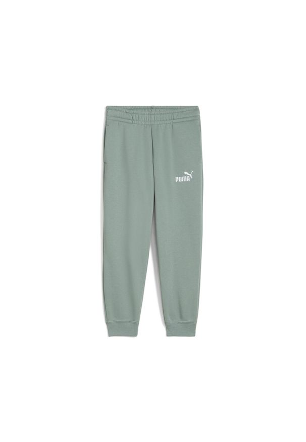 Dziecięcy strój do biegania Puma No. 1 PS. Kolor: zielony. Materiał: dresówka