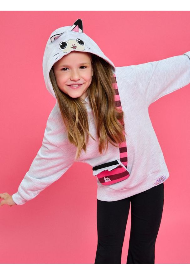 Sinsay - Bluza z kapturem z elementami 3D Gabby's Dollhouse - szary. Typ kołnierza: kaptur. Kolor: szary