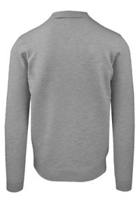 Męski, Lekki Sweter z Wiskozy z Kołnierzykiem Polo - Brave Soul - Popiel. Typ kołnierza: polo. Materiał: poliester, poliamid, wiskoza #3
