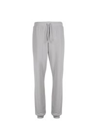 Spodnie dresowe dla kobiet Urban Classics Light Terry. Kolor: szary. Materiał: dresówka. Długość: długie #1